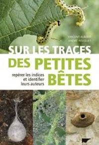 Sur les traces des petites bêtes