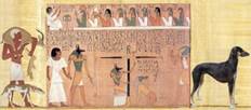Le chien en Egypte ancienne