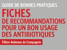 Fiches de recommandations pour un bon usage des antibiotiques chez les animaux de compagnie